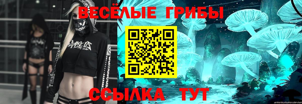 Елабуга  Псилоцибиновые грибы прущие грибы  Вход с VPN 
