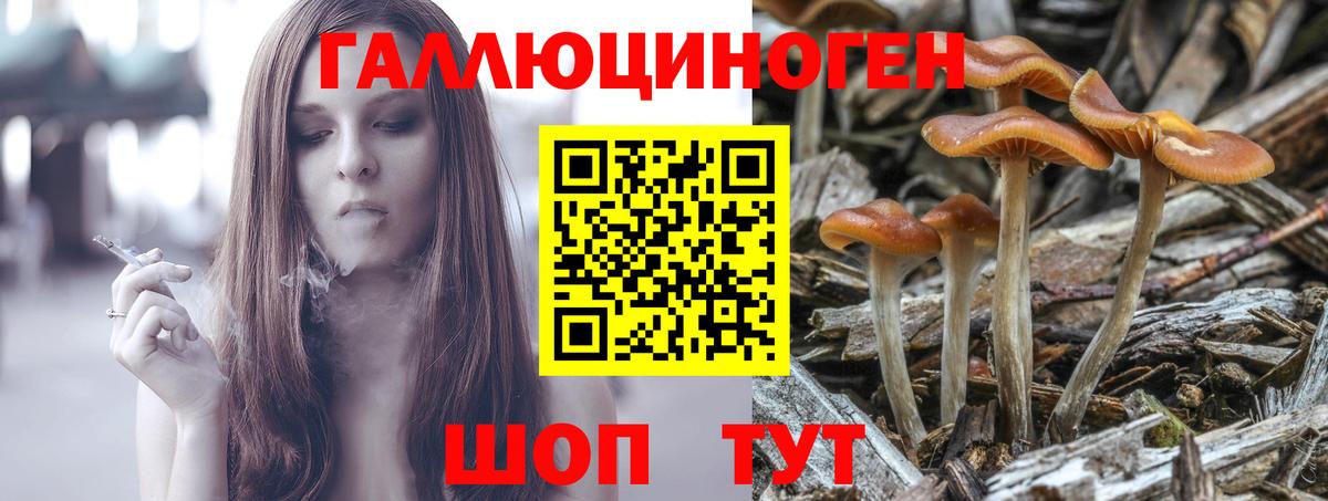 Галлюциногенные грибы ЛСД Елабуга